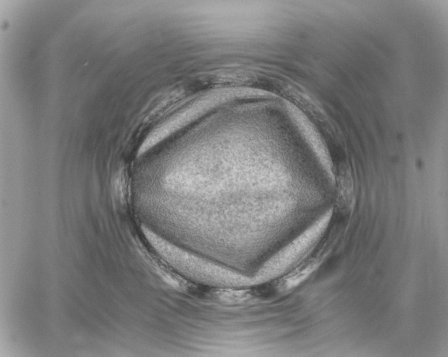 X0000058760333200510211704