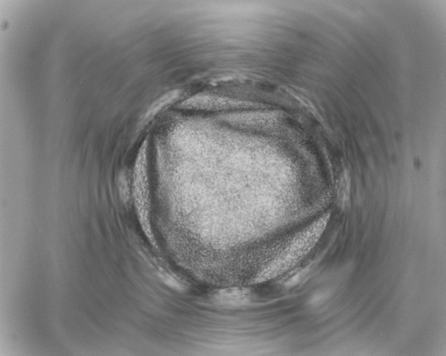 X0000058760335200510211704