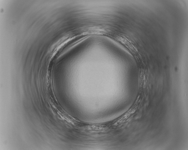 X0000058760338200510211703