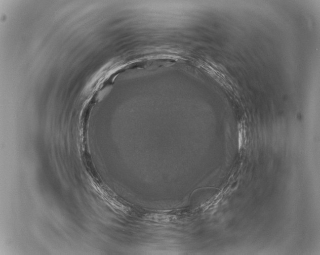 X0000058760339200510211703