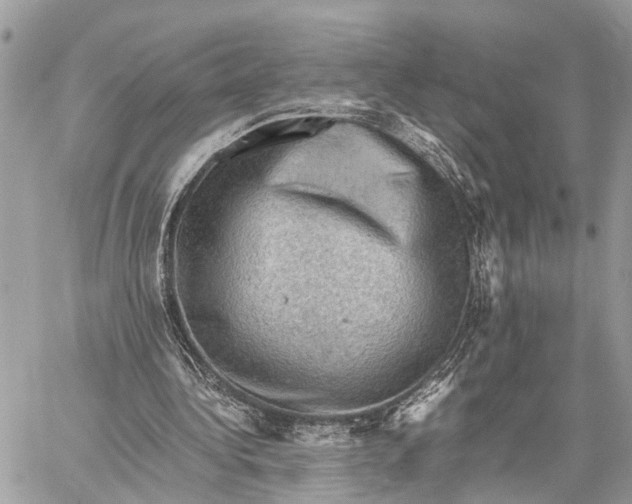 X0000058760340200510211703