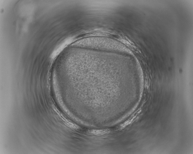 X0000058760341200510211703