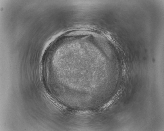 X0000058760342200510211703