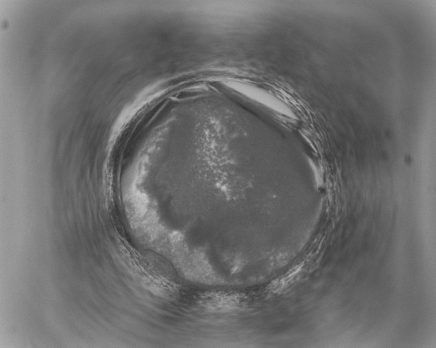 X0000058760343200510211703