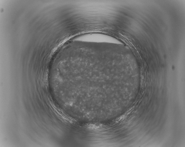 X0000058760346200510211703