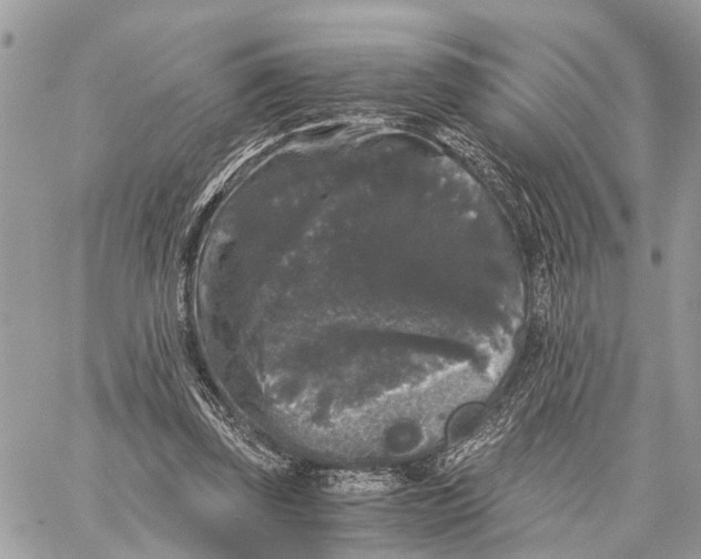 X0000058760347200510211703