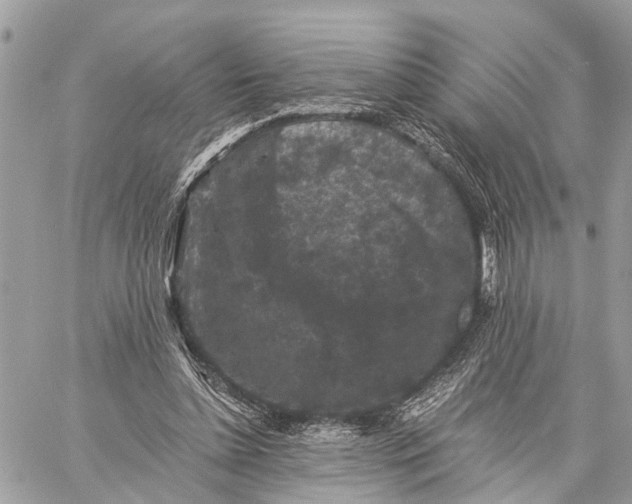 X0000058760348200510211703