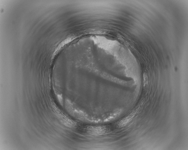 X0000058760349200510211703