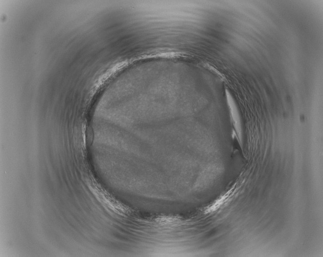 X0000058760350200510211703