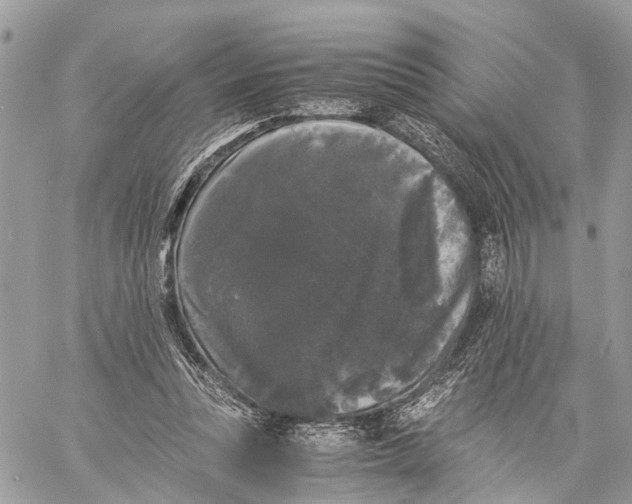 X0000058760351200510211703