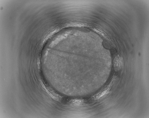 X0000058760352200510211703