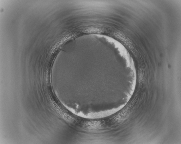 X0000058760353200510211703