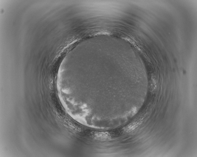 X0000058760355200510211703