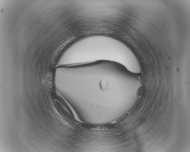 X0000058760356200510211703