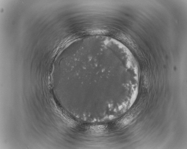 X0000058760357200510211703