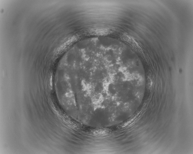 X0000058760358200510211703