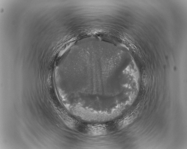 X0000058760359200510211703