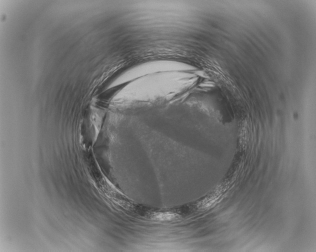 X0000058760360200510211703