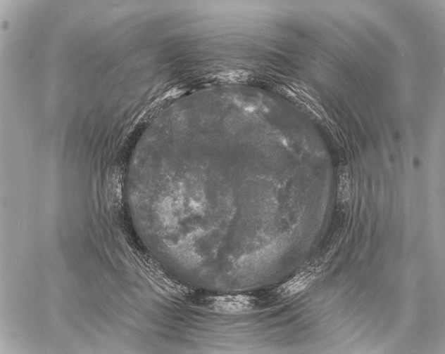 X0000058760363200510211703