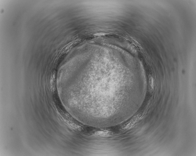 X0000058760364200510211703