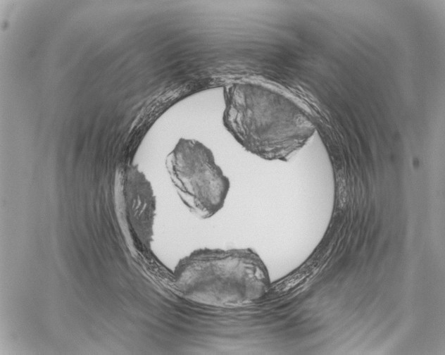 X0000058760365200510211703