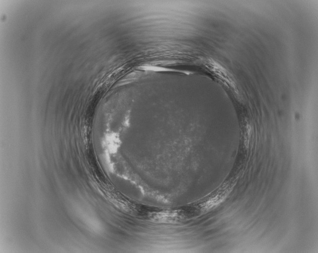 X0000058760366200510211703