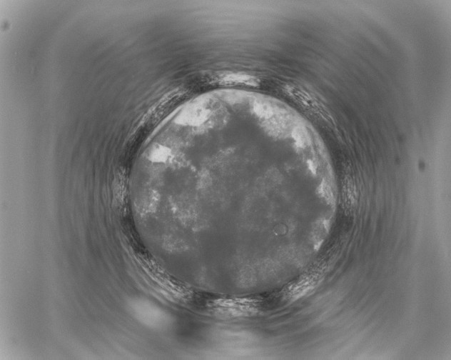 X0000058760367200510211703