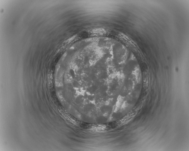 X0000058760369200510211703