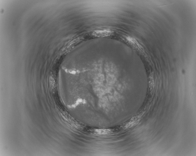 X0000058760371200510211703