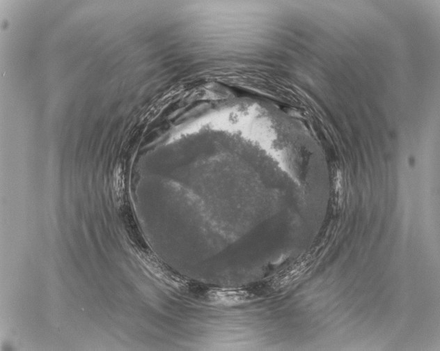 X0000058760372200510211703