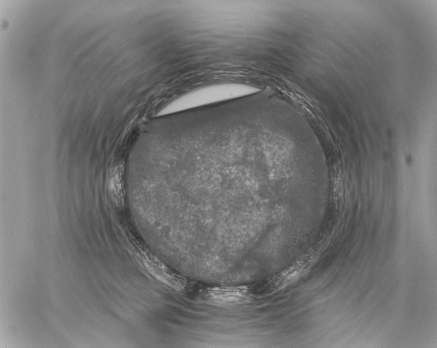 X0000058760373200510211703