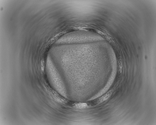 X0000058760374200510211704