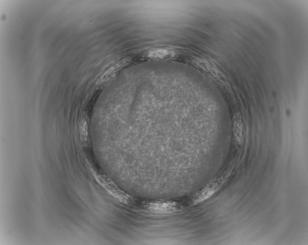 X0000058760375200510211704