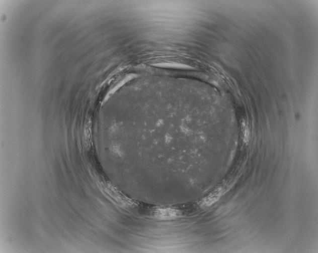 X0000058760376200510211704