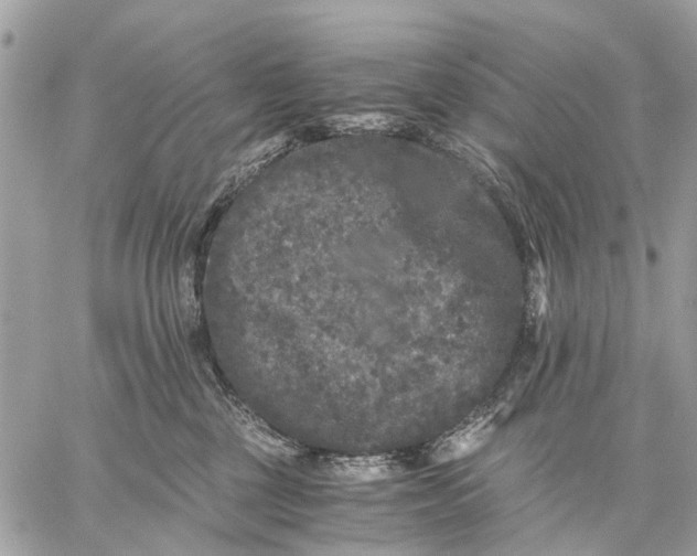 X0000058760377200510211704