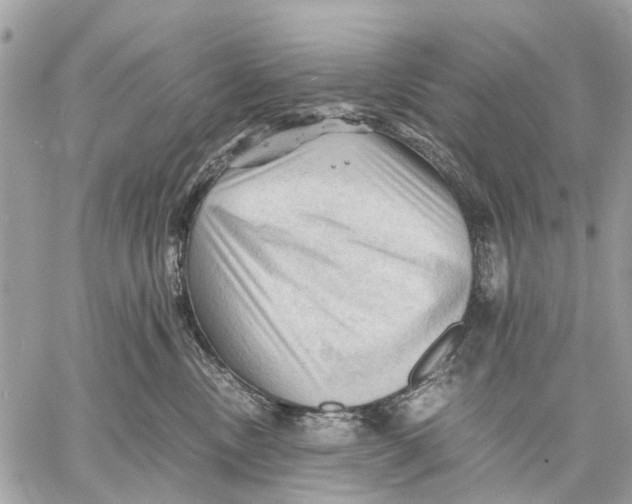 X0000058760378200510211704