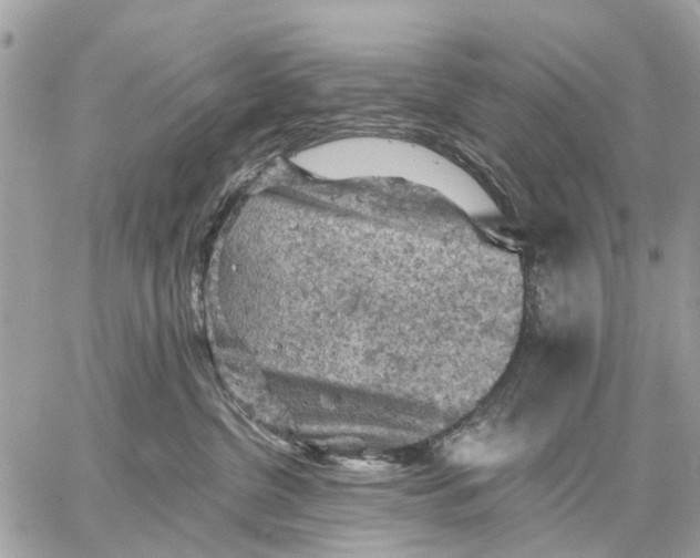 X0000058760380200510211704