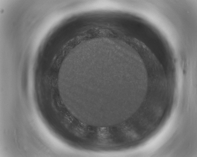 X0000058760382200510211704