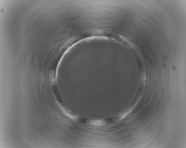 X0000058760383200510211704