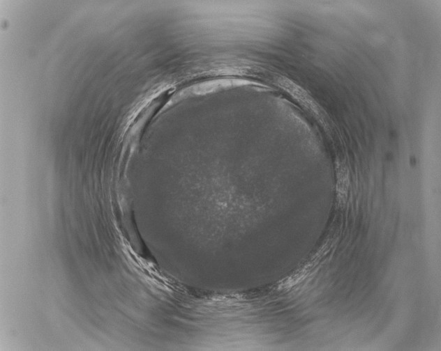 X0000058760386200510211703