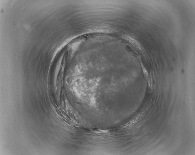 X0000058760388200510211703