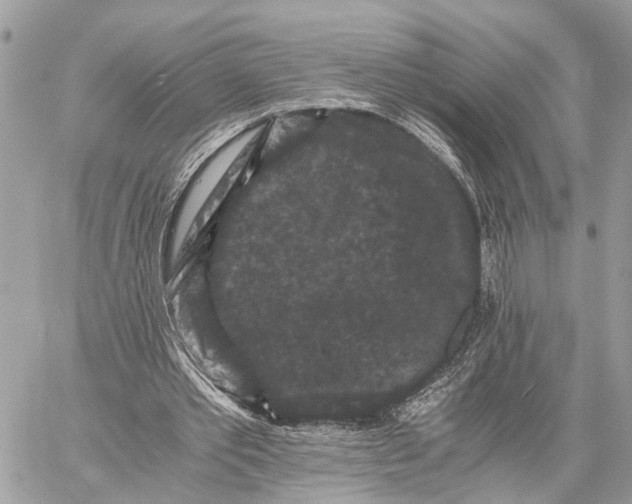 X0000058760389200510211703