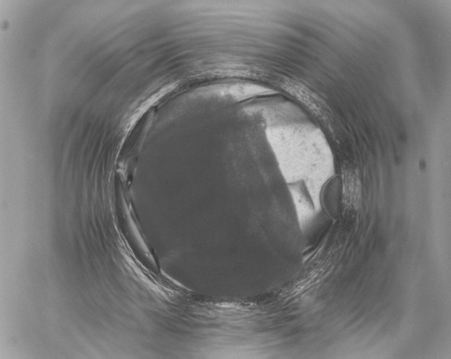 X0000058760390200510211703