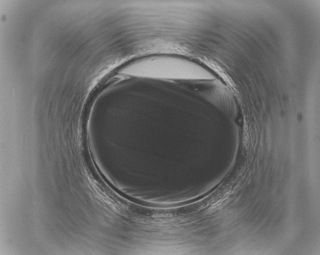 X0000058760391200510211703