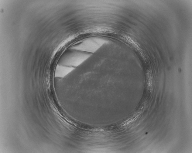 X0000058760392200510211703