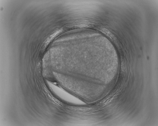 X0000058760393200510211703