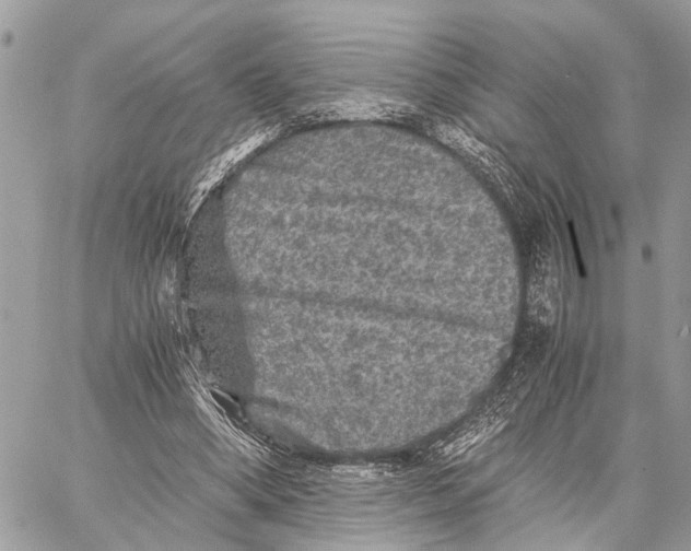 X0000058760394200510211703