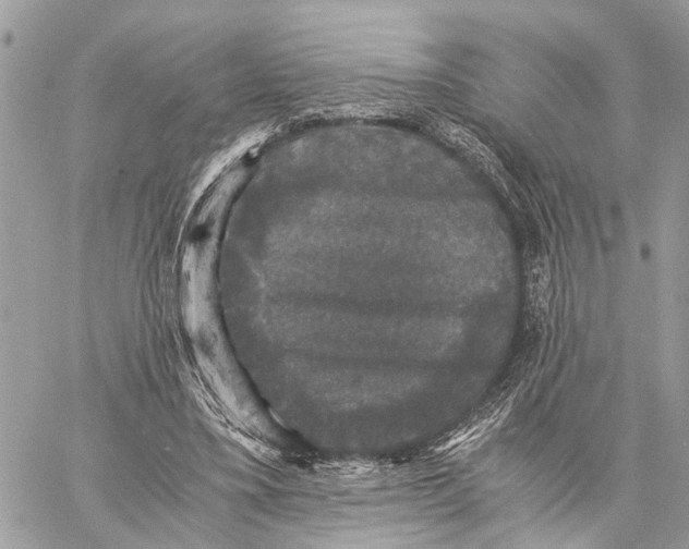 X0000058760395200510211703