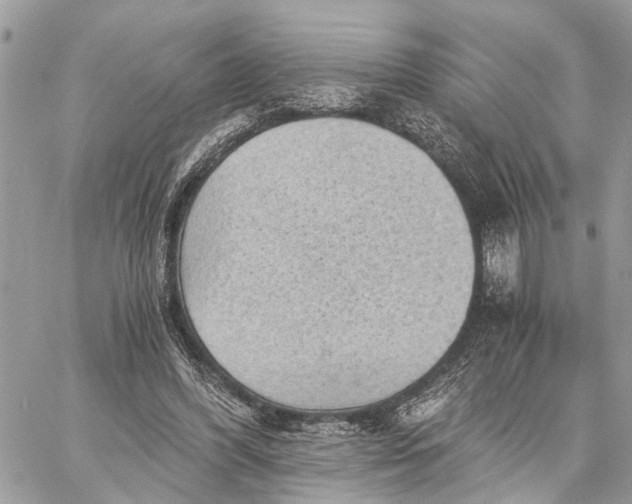 X0000058760396200510211703