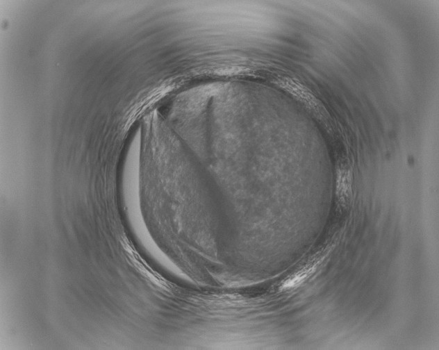 X0000058760397200510211703